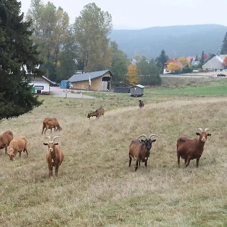 Berghaus Feldberg 
