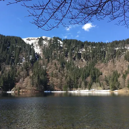 Berghaus Feldberg 