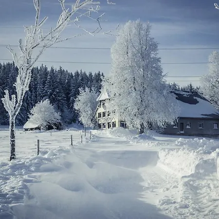 アパート Berghaus Feldberg 